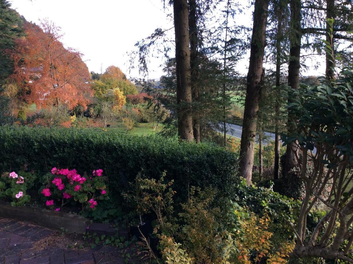 Bed and Breakfast Tan Y Graig Meifod Экстерьер фото