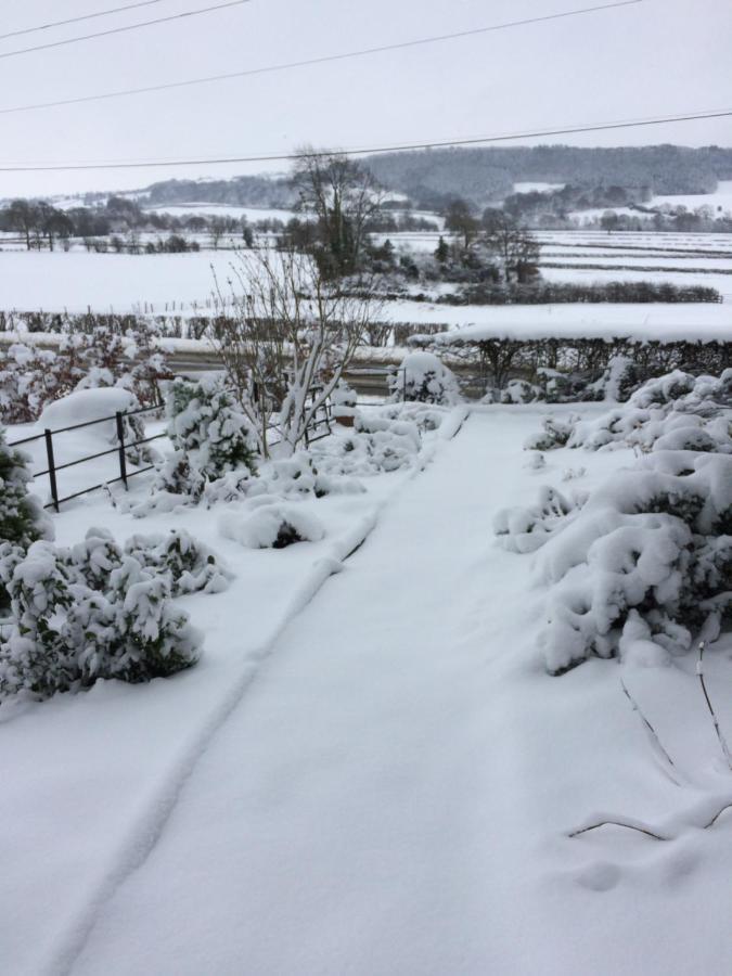 Bed and Breakfast Tan Y Graig Meifod Экстерьер фото